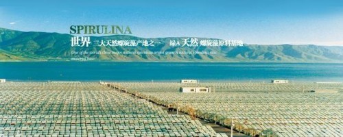 市場(chǎng)監(jiān)管總局正式認(rèn)可！螺旋藻增強(qiáng)免疫力再添權(quán)威認(rèn)證！